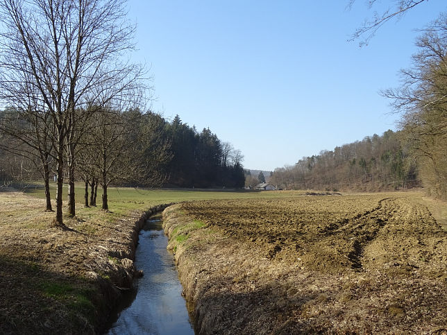 Kalch, Limbach